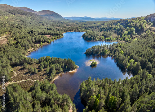 Mountain and Forest landsca...