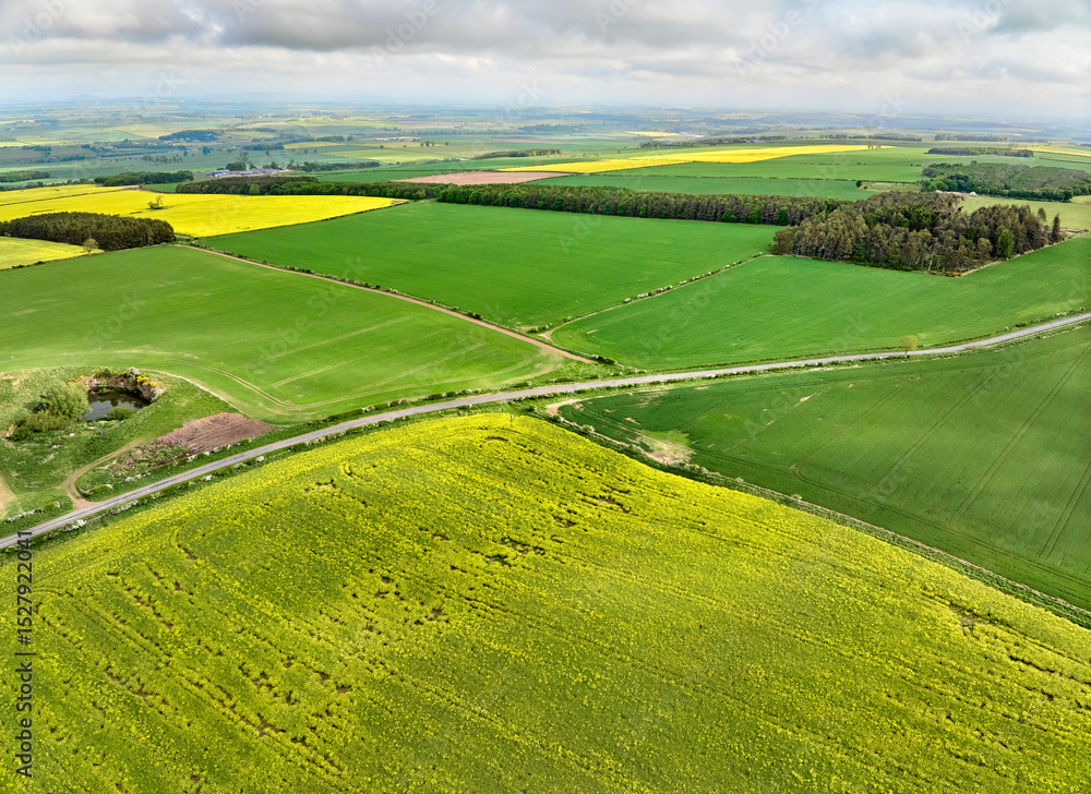 Fototapeta premium agricultural fields with blooming rape seed at the sottish border near Oxnam, Scotland, UK