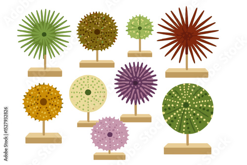 Cartoon vector illustration showing a collection of colorful sea urchin specimens displayed on stands isolated on a white background