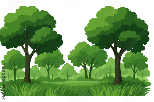Vector illustration shows a forest with trees and green grass during daytime