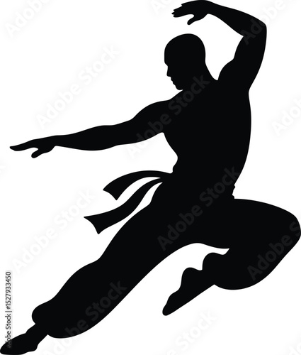 Silhouette of a martial artist in mid air performing a dynamic pose with focused concentration and control