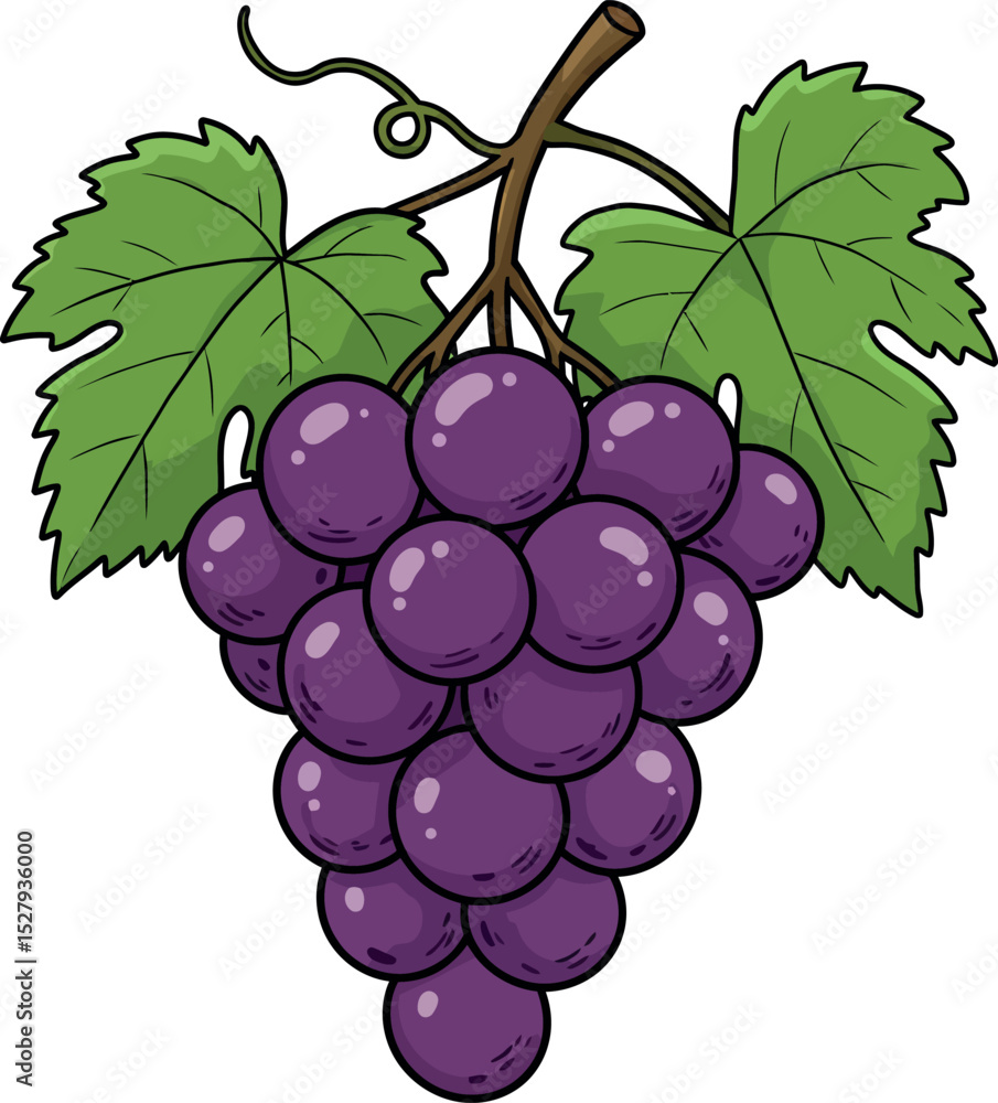 Fototapeta premium Cartoon Purple Grapes Clipart – Fresh Grape Bunch Illustration with Green Leaves for Kids, Fruit, and Healthy Snack Designs