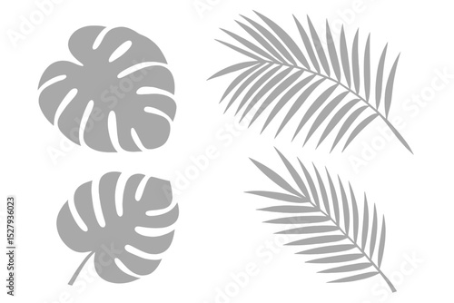 Tropical foliage collection gray cartoon vector design including two Monstera leaves and two palm fronds