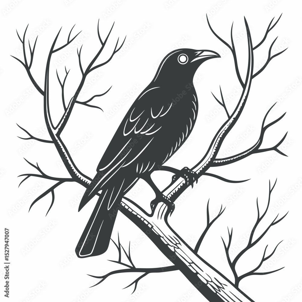 Vector illustration of a bird image free. Vector illustration of a bird image free.