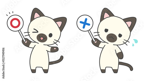 〇×クイズ猫セット