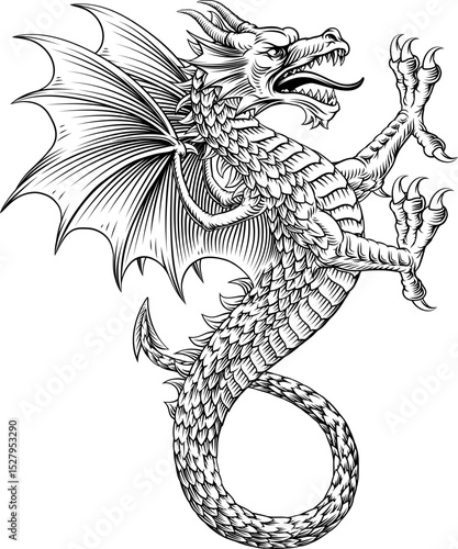 A heraldry coat of arms crest style heraldic wyvern dragon in a vintage woodcut style