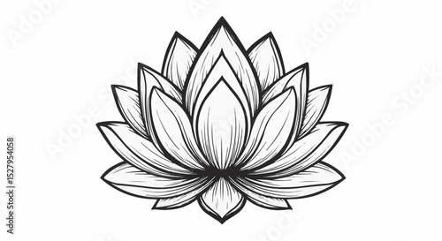 White lotus flower vector illustration