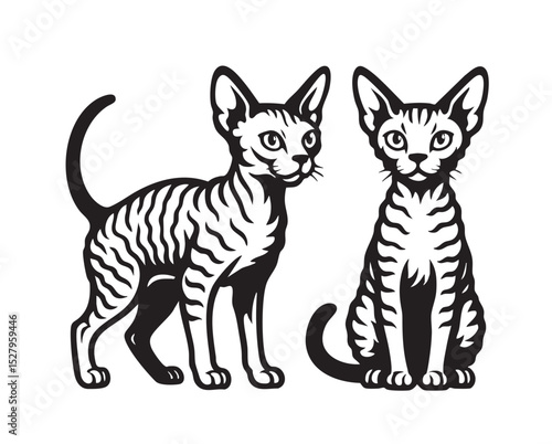 Black and white vector illustration of two devon rex cats sitting together, perfect for pet store designs, veterinary logos and cat lover art.