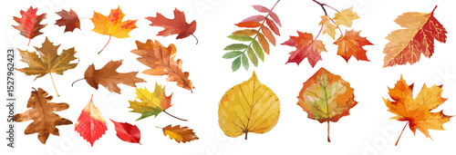 High-quality watercolor seamless pattern featuring vibrant autumn leaves set against a pristine white background. 
