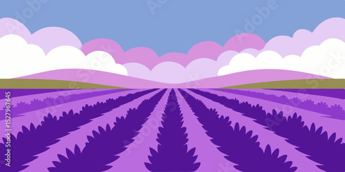 A fragrant purple beautiful lavender field cartoon video background scene vector illustration