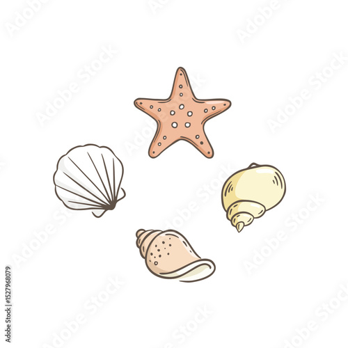 Seashell collection doodle  vector illustration. 