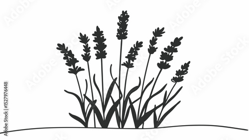 Black and White cluster of lavender flowers blossoms creates serene atmosphere, Vintage style