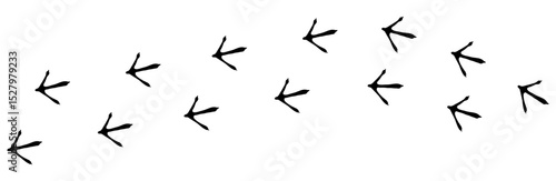 Bird footprint chicken foot track, feet print, paw step hand drawn doodle. Sketch simple turkey, hen trail. Crow walk steps mark.