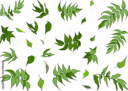 飛び散る葉っぱの素材セット