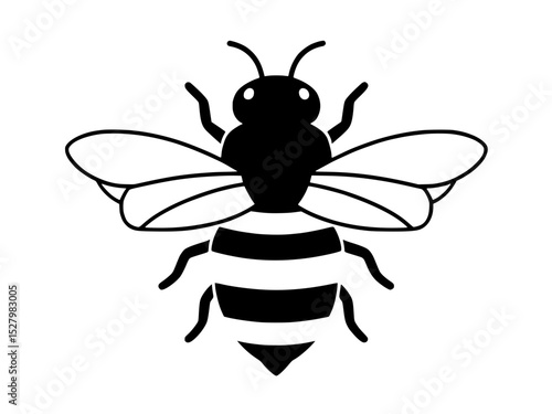 bee vector illustration