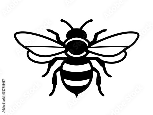 bee on white background