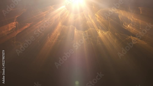 halo light leak effect. buddha halo light. jesus halo light. energy light coating from above shining down.