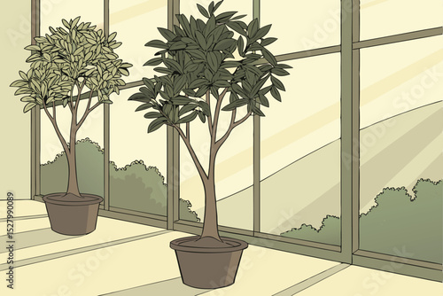 bonsai tree in the office