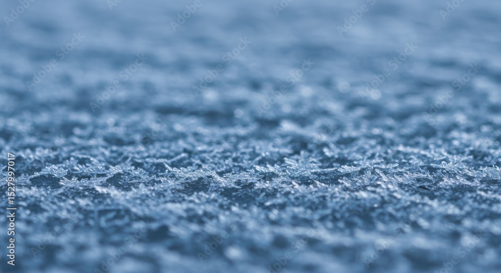 A blue-toned field of intricate, crystalline frost covers the landscape in winter A blue-toned field of intricate, crystalline frost covers the landscape in winter