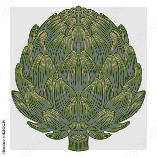 Mediterranean element, exotic tropical. Textured illustration with hand drawn sketch elements