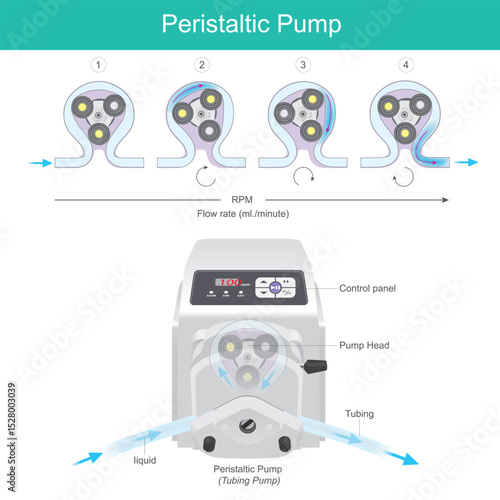 Peristaltic Pump Operation and Components. The rolling ball will roll the tubing periodically to push the liquid in the hose to move in the desired direction.