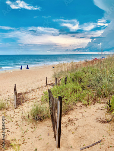 Obraz na plátně A beautiful beach in the Outer Banks of North Carolina