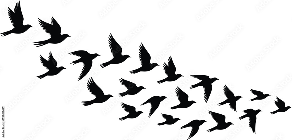 Fototapeta premium Silhouette of a Flock of Birds Flying in Formation Black Birds Flying in a Group on a White Background Vector Illustration