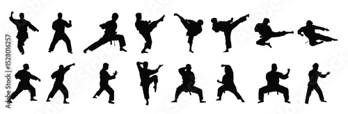 martial art karate silhouettes collection