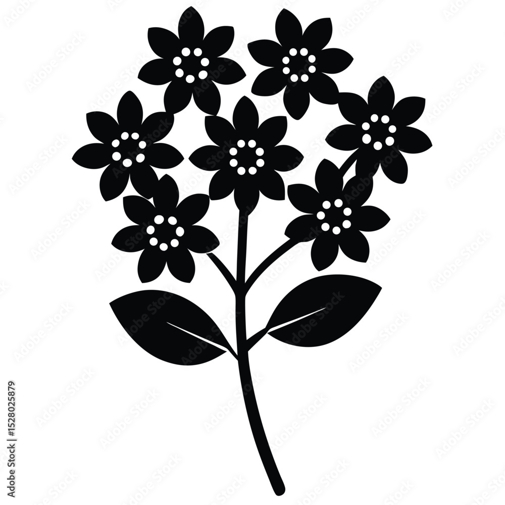 Fototapeta premium Black silhouette of a flower cluster isolated on white background