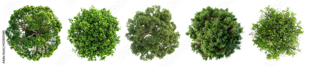 Naklejka premium PNG Lush green tree tops, element set on transparent background