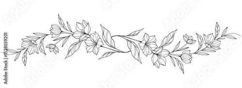 Line art Sketch Floral Botany. flower drawings. Black and white with line art on white backgrounds. Hand Drawn Botanical Illustrations.Vector.