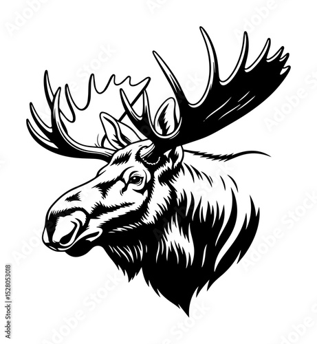 moose head with antlers vector sketch