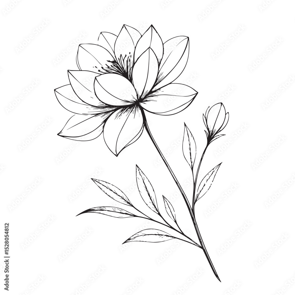 Fototapeta premium vector illustration of a flower