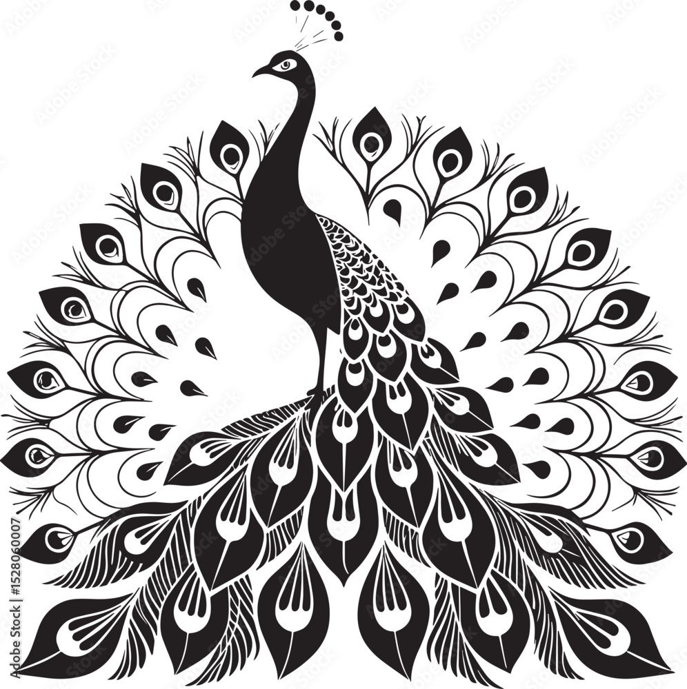 Fototapeta premium peacock feather vector illustration
