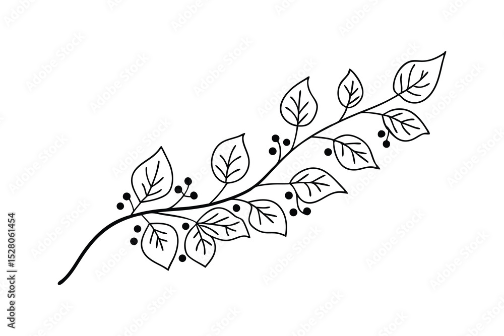 Obraz premium Elegant black and white botanical illustration featuring leaves and berries design