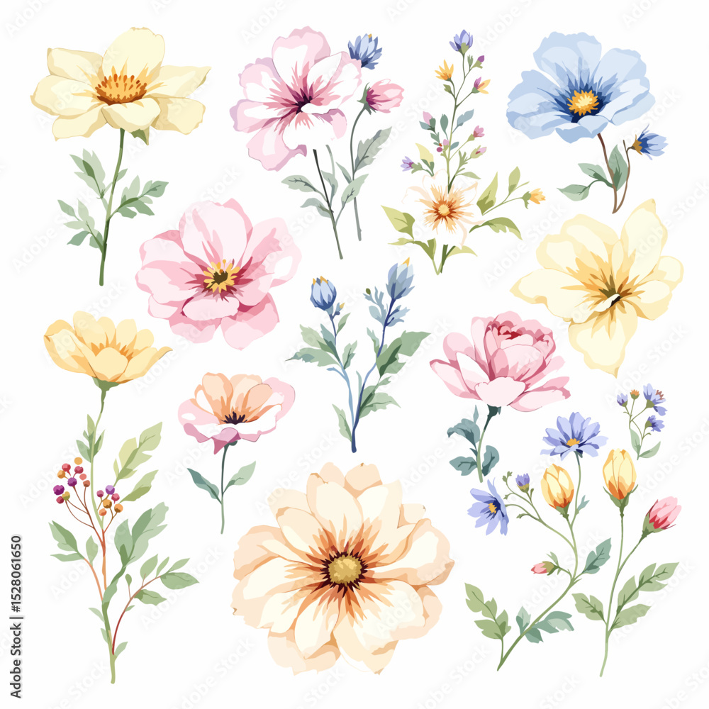 Obraz premium Wild flowers set, watercolor digital illustration.