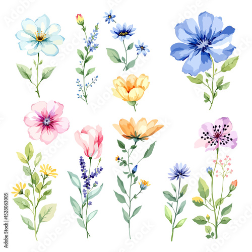 Flowers and leaves set, floral watercolor illustration for greeting card, invitation and other printing design. Isolated on white. Hand drawing.