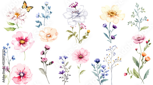 Watercolor painted floral clipart set