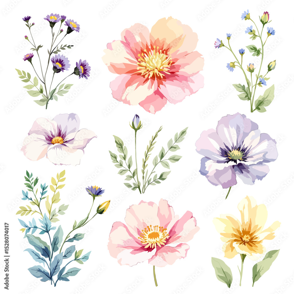 Obraz premium Beautiful watercolor floral set with hand-drawn summer wild field flowers, featuring clip art illustrations