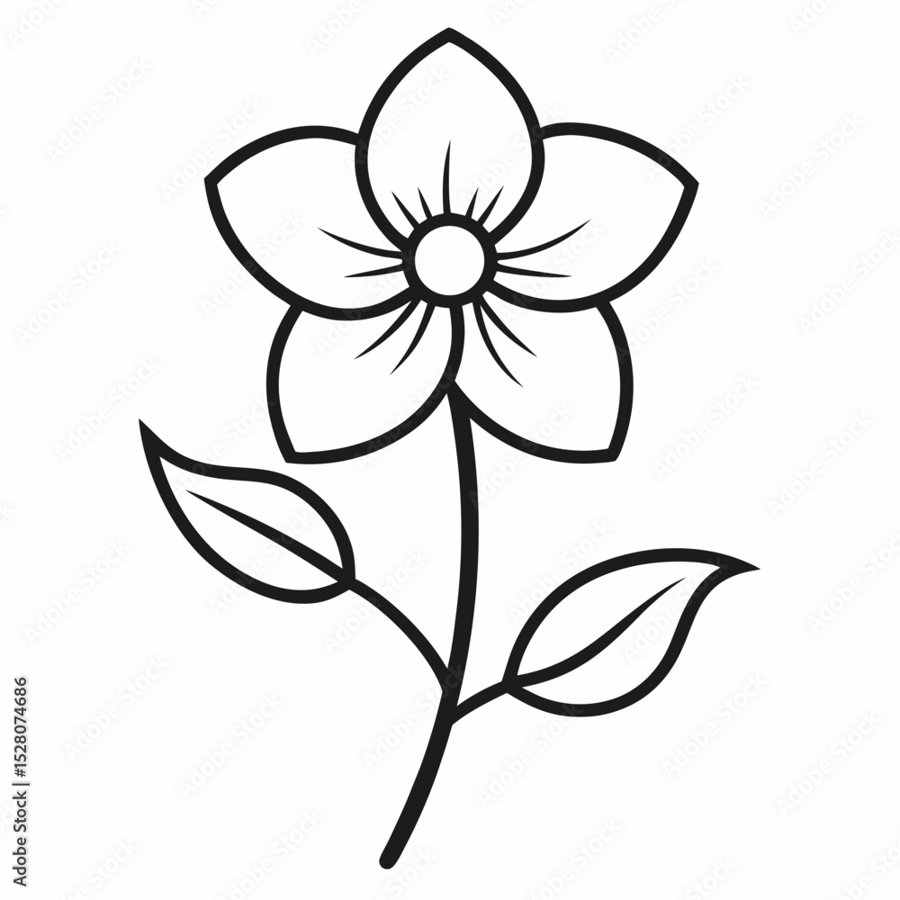 Obraz premium wood anemone flower on white background 