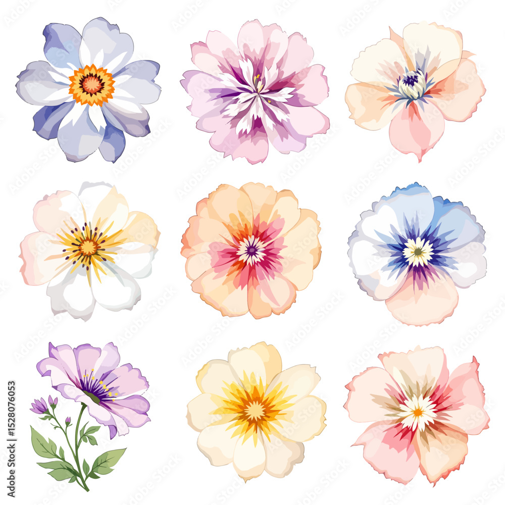 Fototapeta premium Beautiful floral set with watercolor hand drawn wild field flowers. Stock illustration. Clip art.