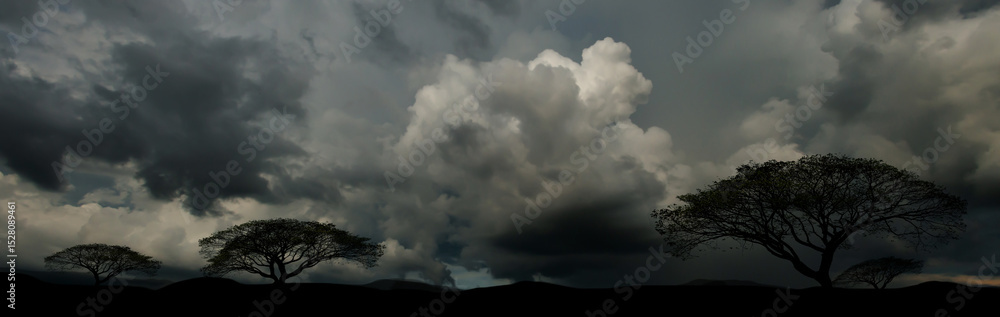 Obraz premium Rain clouds and black sky textured background. Danger storm cloud, Black cloud and thunder storm, Dark sky and motion clouds before rainy.