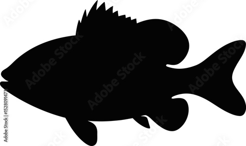 Silhouette of a fish with prominent fins and spiky dorsal fin on white back