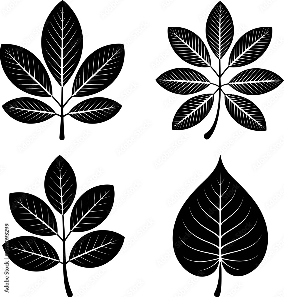 Fototapeta premium Graphic arrangement of four different black leaf silhouettes on white background