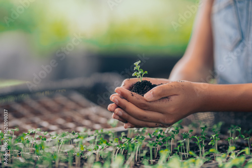 Black women, Family, farming, farming, cultivation, greenhouse