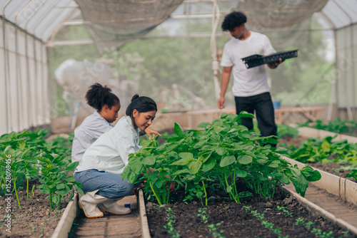 Group of young people  learning about farming, farming, and cultivation in a greenhouse.