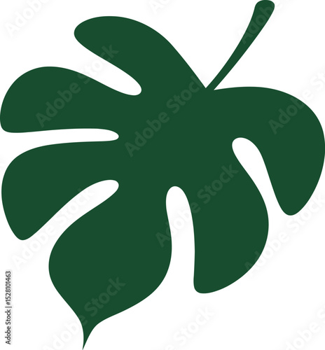 Illustration of a single dark green monstera leaf on a white background