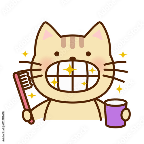 歯みがきをして歯が綺麗になったかわいいネコのイラスト