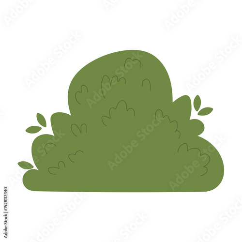 Decorative green plants in the form of garden shrubs, seasonal shrubs. To decorate a park, garden or green hedge.