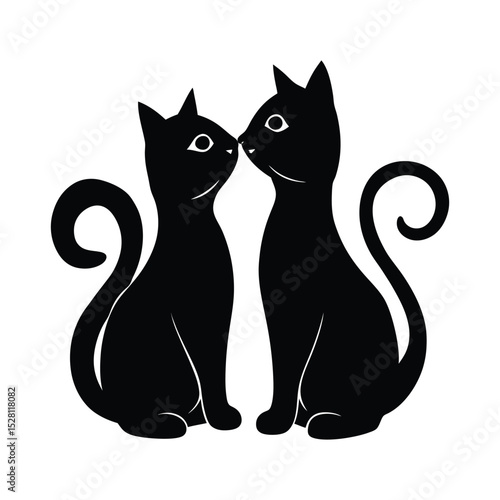 black and white cats